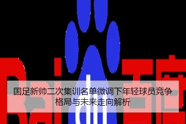 国足新帅二次集训名单微调下年轻球员竞争格局与未来走向解析